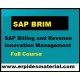 sap brim course